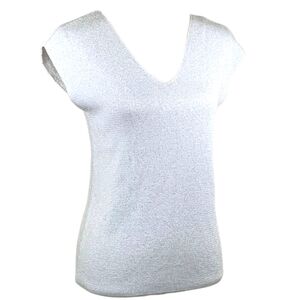 Talbots Metallic Sweater, Shimmery Lightweight Cotton & Wool, Woman XXL Plus